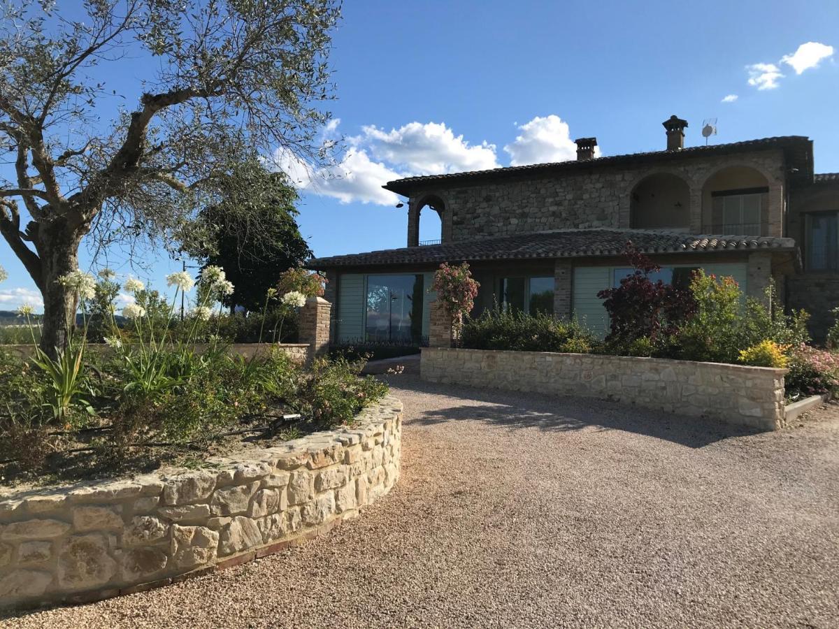 Agriturismo Fattoria Di Monticello San Venanzo Exterior foto