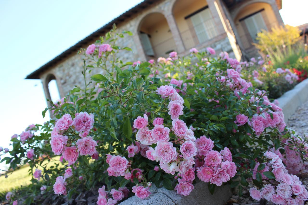 Agriturismo Fattoria Di Monticello San Venanzo Exterior foto